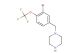 1-(3-bromo-4-(trifluoromethoxy)benzyl)piperazine