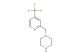 1-((4-(trifluoromethyl)pyridin-2-yl)methyl)piperazine