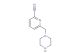 6-(piperazin-1-ylmethyl)picolinonitrile