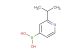 (2-isopropylpyridin-4-yl)boronic acid