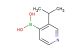 (3-isopropylpyridin-4-yl)boronic acid