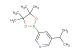 3-isopropyl-5-(4,4,5,5-tetramethyl-1,3,2-dioxaborolan-2-yl)pyridine