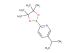 5-isopropyl-2-(4,4,5,5-tetramethyl-1,3,2-dioxaborolan-2-yl)pyridine