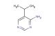5-isopropylpyrimidin-4-amine