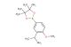 2-(3-isopropyl-4-methoxyphenyl)-4,4,5,5-tetramethyl-1,3,2-dioxaborolane