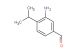 3-amino-4-isopropylbenzaldehyde