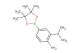 2-isopropyl-4-(4,4,5,5-tetramethyl-1,3,2-dioxaborolan-2-yl)aniline