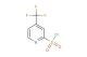 4-(trifluoromethyl)pyridine-2-sulfonyl chloride
