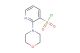 2-morpholinopyridine-3-sulfonyl chloride