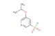 5-isopropoxypyridine-3-sulfonyl chloride