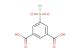 5-(chlorosulfonyl)isophthalic acid