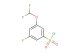 3-(difluoromethoxy)-5-fluorobenzene-1-sulfonyl chloride