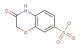 3-oxo-3,4-dihydro-2H-benzo[b][1,4]oxazine-7-sulfonyl chloride