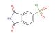 1,3-dioxoisoindoline-5-sulfonyl chloride