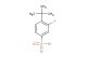 4-(tert-butyl)-3-fluorobenzene-1-sulfonyl chloride