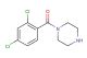 (2,4-dichlorophenyl)(piperazin-1-yl)methanone