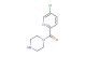 (5-chloropyridin-2-yl)(piperazin-1-yl)methanone