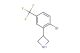 3-(2-bromo-5-(trifluoromethyl)phenyl)azetidine