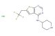 N-(piperidin-4-yl)-6-(2,2,2-trifluoroethyl)thieno[2,3-d]pyrimidin-4-amine hydrochloride
