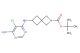 tert-butyl 6-((6-amino-5-chloropyrimidin-4-yl)amino)-2-azaspiro[3.3]heptane-2-carboxylate
