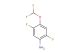 4-(difluoromethoxy)-2,5-difluoroaniline