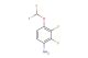 4-(difluoromethoxy)-2,3-difluoro-aniline