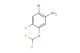 2-bromo-5-(difluoromethoxy)-4-fluoroaniline