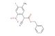 benzyl 2-cyano-2-(4-fluoro-5-methyl-2-nitrophenyl)acetate