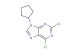 2,6-dichloro-9-cyclopentyl-9H-purine
