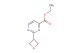 ethyl 2-(oxetan-3-yl)pyrimidine-4-carboxylate