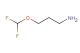 3-(difluoromethoxy)propan-1-amine