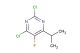 2,4-dichloro-5-fluoro-6-propan-2-ylpyrimidine