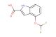 4-(difluoromethoxy)-1H-indole-2-carboxylicacid