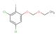 1,5-dichloro-3-ethoxymethoxy-2-iodobenzene