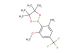 2-(2-methoxy-6-methyl-4-(trifluoromethyl)phenyl)-4,4,5,5-tetramethyl-1,3,2-dioxaborolane