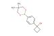 1-(4-(5,5-Dimethyl-1,3,2-dioxaborinan-2-yl)phenyl)cyclobutanol