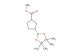 methyl3-(4,4,5,5-tetramethyl-1,3,2-dioxaborolan-2-yl)cyclopentane-1-carboxylate