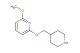 2-methoxy-6-(piperidin-4-ylmethoxy)pyridine