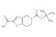 tert-butyl 2-carbamoyl-6,7-dihydrothieno[3,2-c]pyridine-5(4H)-carboxylate