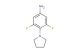 3,5-difluoro-4-(pyrrolidin-1-yl)aniline