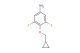 4-(cyclopropylmethoxy)-3,5-difluoroaniline