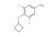 4-cyclobutoxy-3,5-difluoroaniline