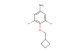 4-(cyclobutylmethoxy)-3,5-difluoroaniline
