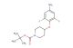 tert-butyl 4-(4-amino-2,6-difluorophenoxy)piperidine-1-carboxylate