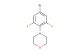 4-(4-bromo-2,6-difluorophenyl)morpholine