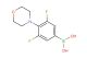 (3,5-difluoro-4-morpholinophenyl)boronic acid