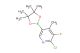 2-chloro-3-fluoro-4-methyl-5-(4,4,5,5-tetramethyl-1,3,2-dioxaborolan-2-yl)pyridine