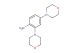 2,4-dimorpholinoaniline