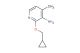 2-(cyclopropylmethoxy)-4-methylpyridin-3-amine
