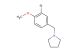 1-(3-bromo-4-methoxybenzyl)pyrrolidine